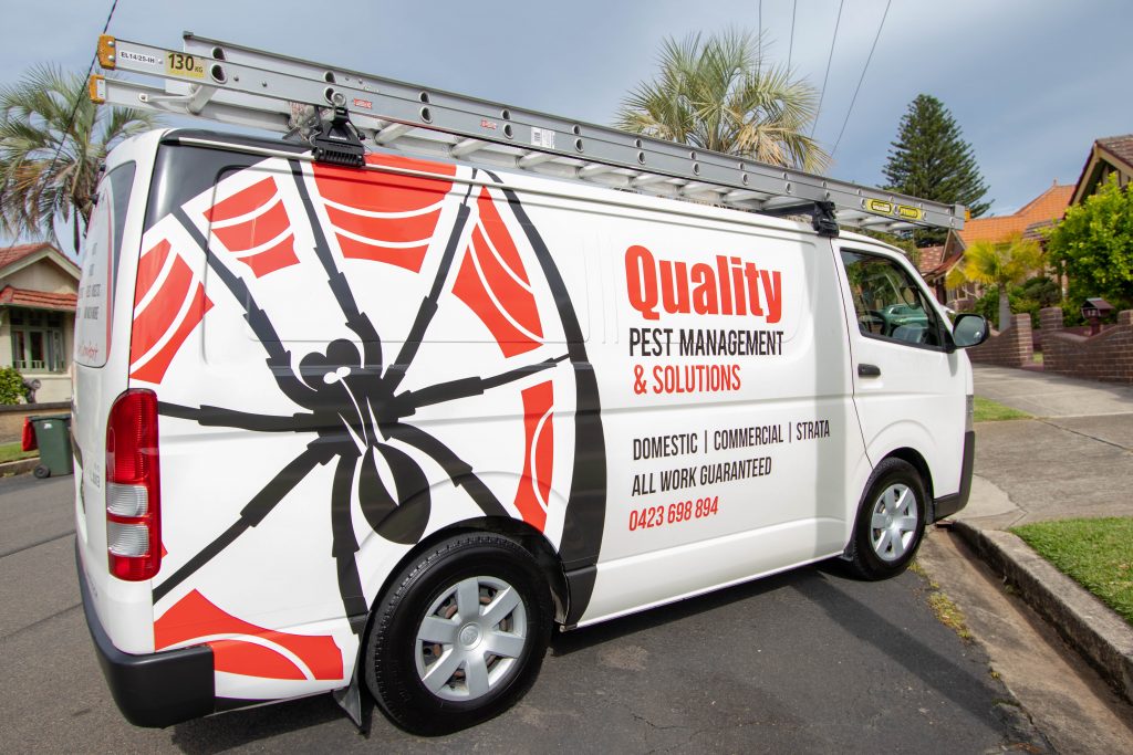 Quality Pest Management & Solutions
